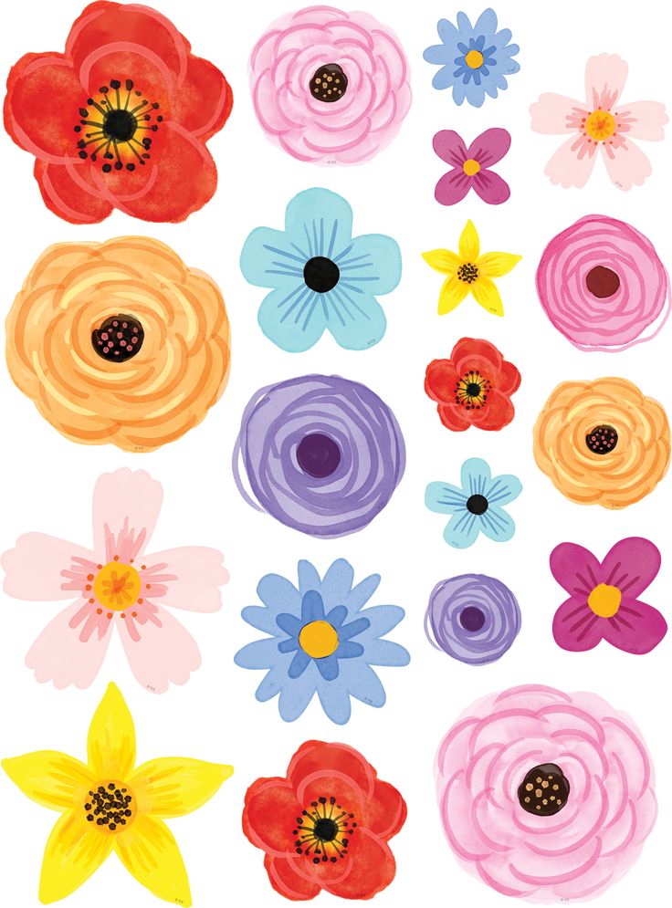 an assortment of colorful flowers on a white background