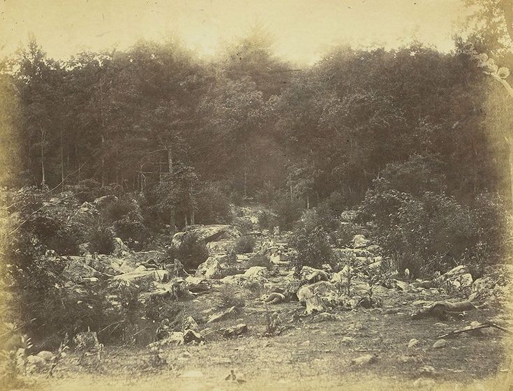 an old black and white photo of a forest with rocks on the ground, trees in the background