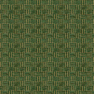 Shop BR-800043-487 Reed Texture Spruce Texture by Brunschwig & Fils Fabric Patterned Fabric Texture, Fabric Board, Textile Fiber Art, Fabric Textures, Green Theme, Chenille Fabric, Fabric Texture, Drapery Fabric, Chair Fabric