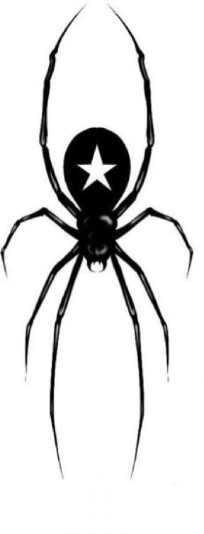 a black and white spider with a star on it's back legs, sitting in front of a white background