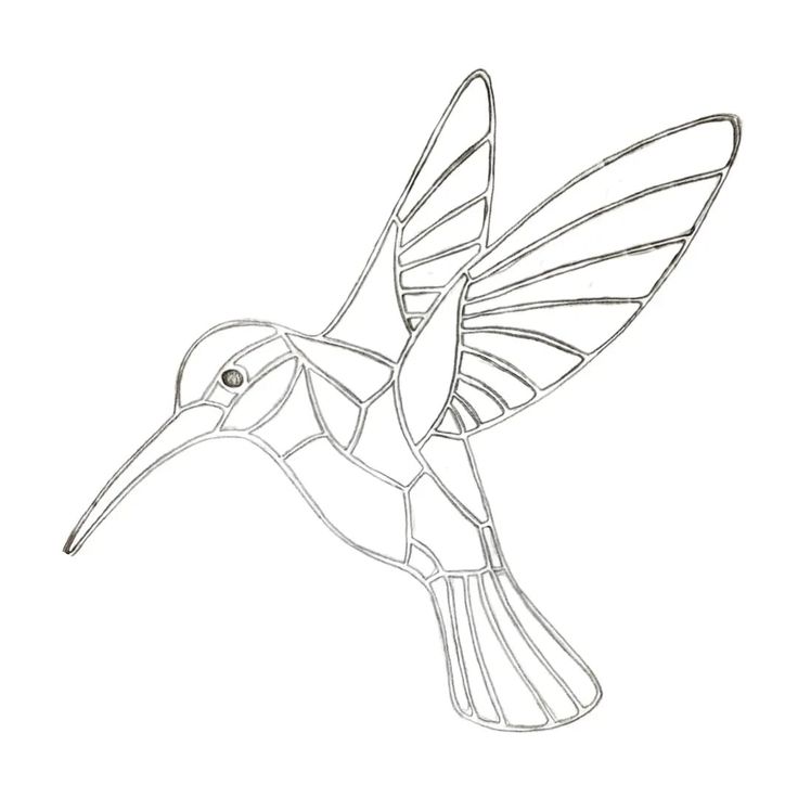 a drawing of a hummingbird flying in the air