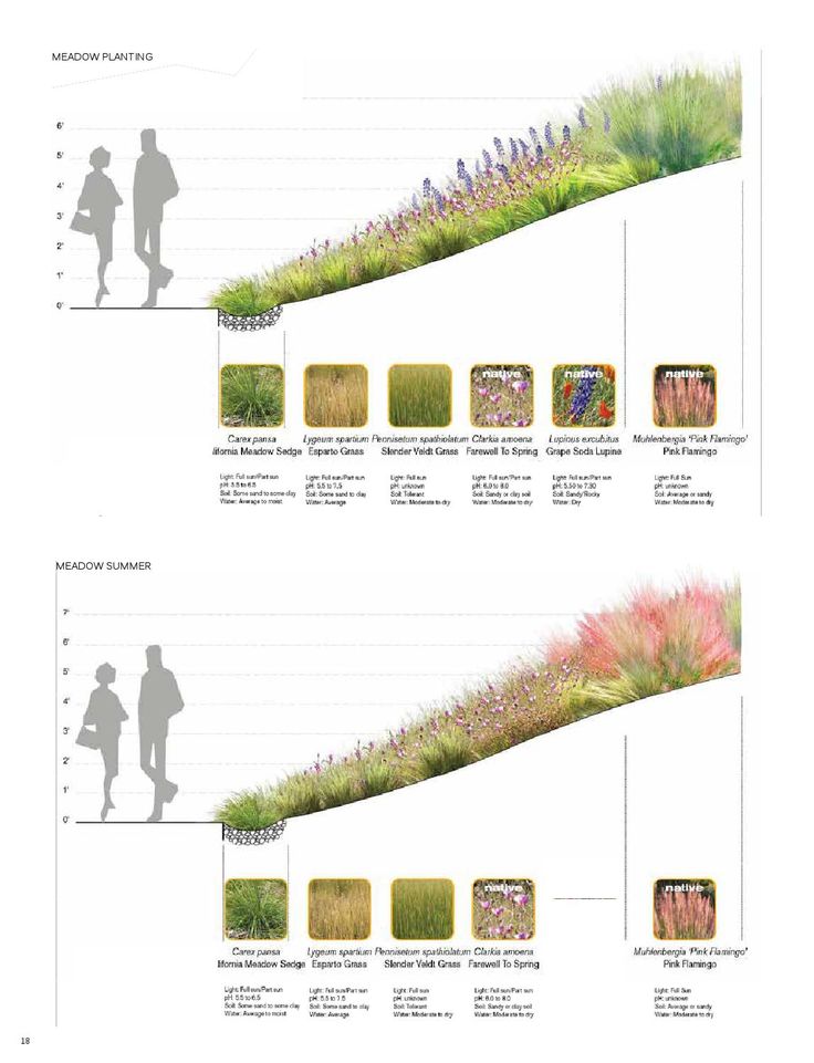 two diagrams showing different types of plants and people walking on the side of a hill