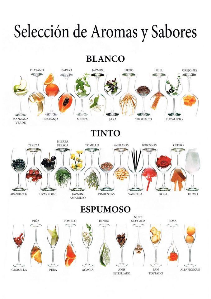 a poster with different types of wine glasses in spanish and english words on the bottom