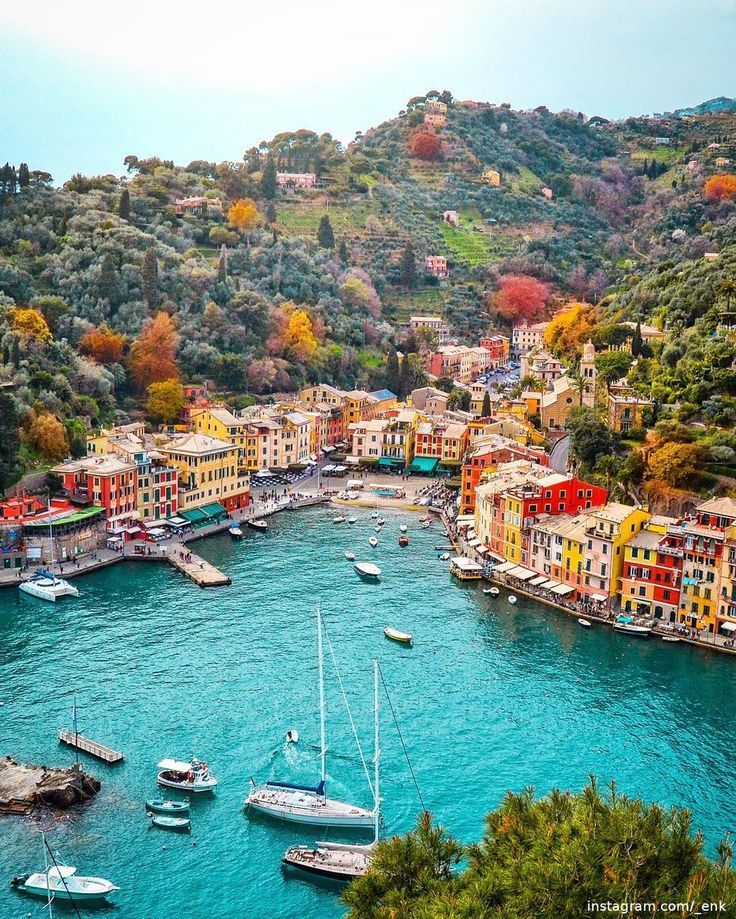 an image of boats in the water near some buildings and trees on top of a hill