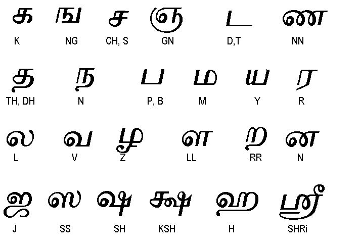 the alphabet is written in two languages and has an image of different letters on it