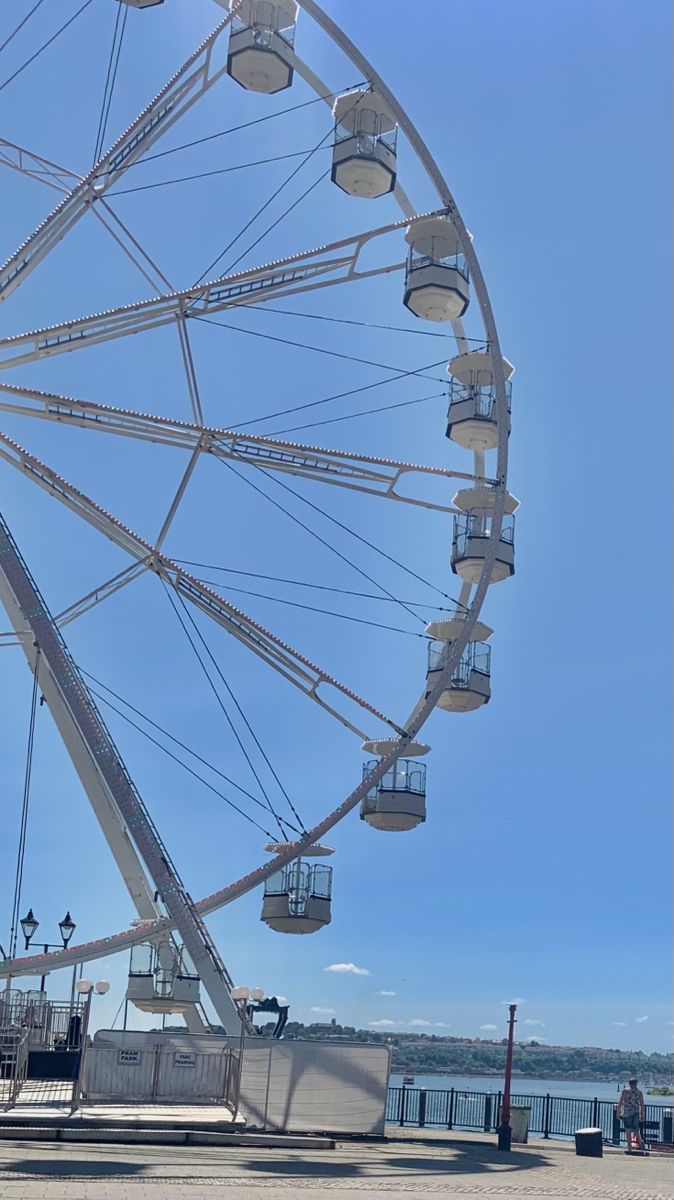 a large ferris wheel sitting next to the ocean