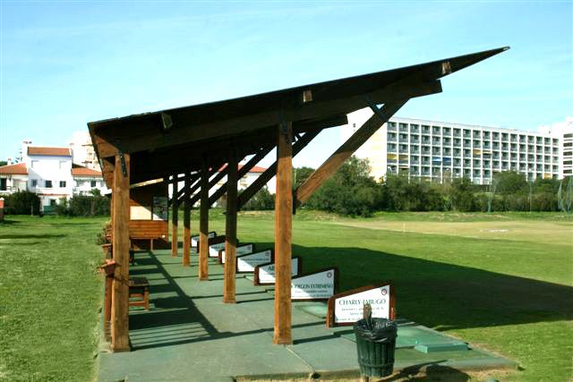 a row of benches sitting on top of a lush green field next to a tall building