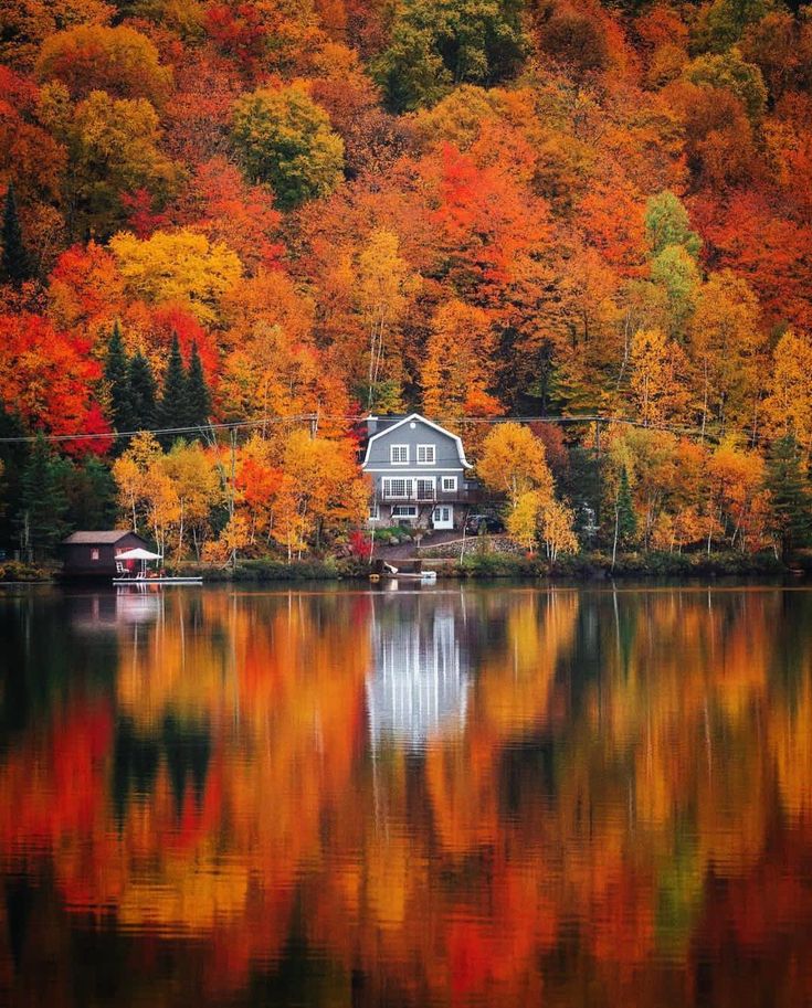 a house sitting on the edge of a lake surrounded by trees with fall foliage around it