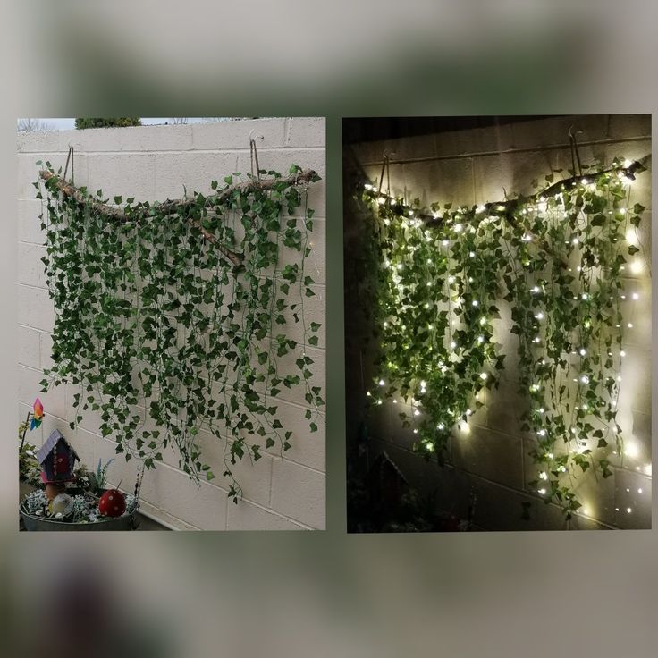 two pictures with plants growing on the wall and lights hanging from the ceiling above them