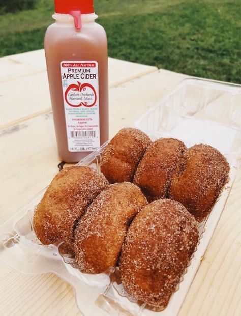 doughnuts and apple cider sit on a picnic table