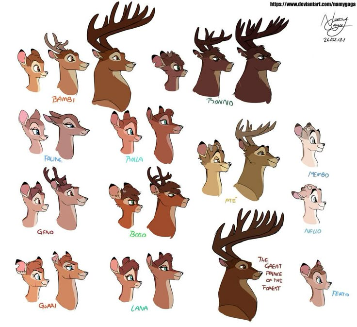 the different types of deers that are in each character's head and neck