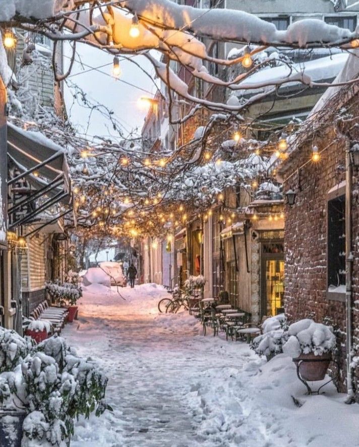 a snowy alley with lights strung from the ceiling and potted plants on either side