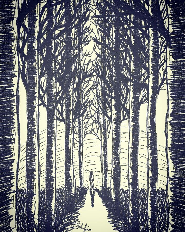 a drawing of a person walking down a path in the woods with trees on either side