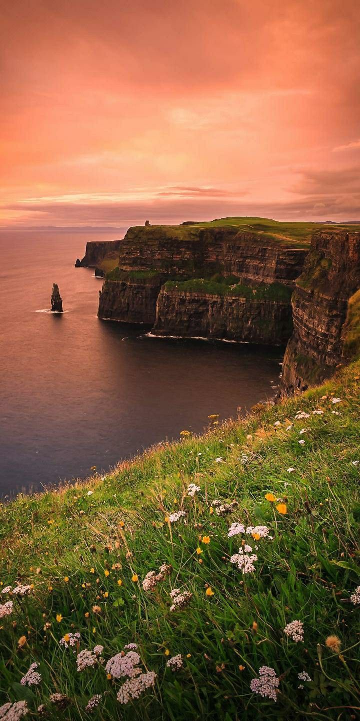 the cliffs are covered in grass and flowers as the sun goes down over the ocean