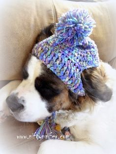 a dog wearing a knitted hat laying on top of a couch