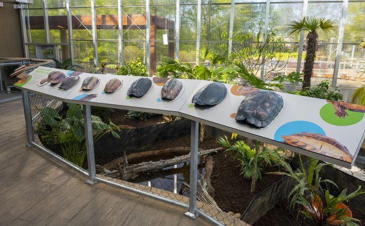 there are many different types of rocks on display in the glass house at the zoo