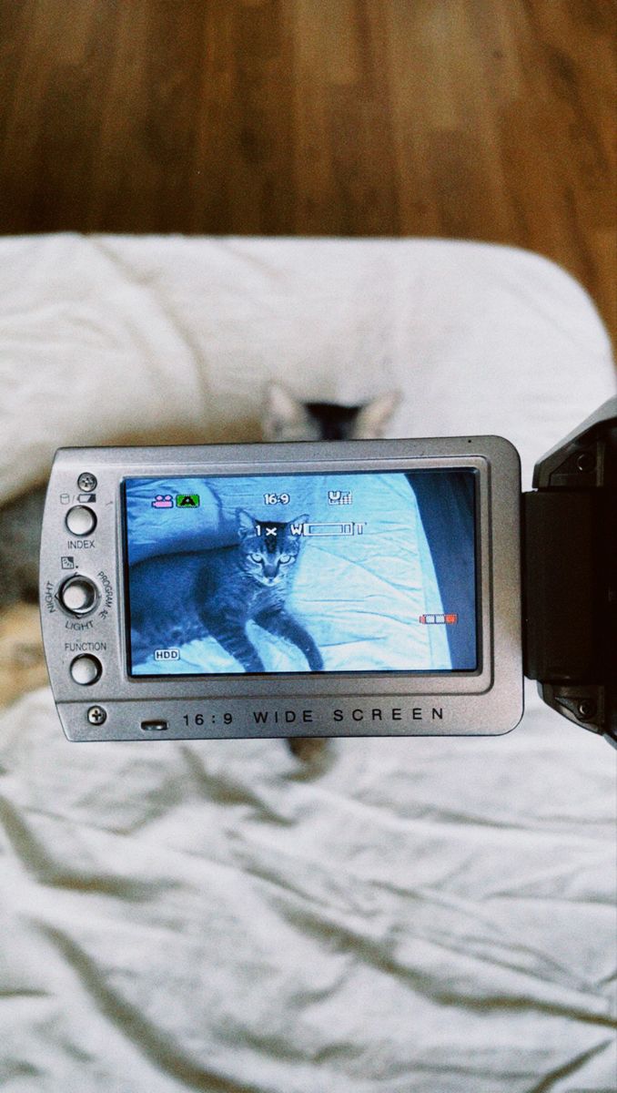 a person holding up a video camera with a cat on the screen in front of them