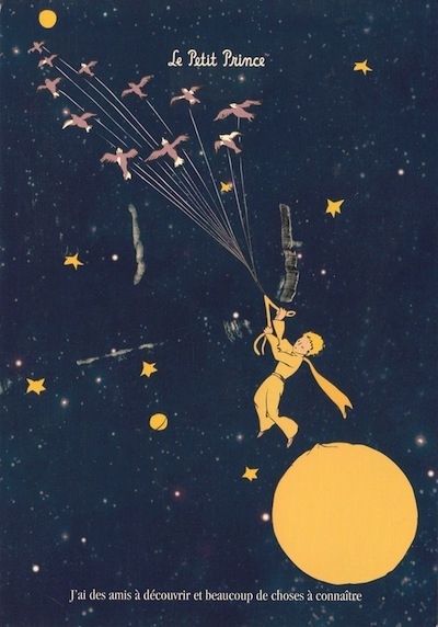 The Little Prince by Antoine de Saint-Exupery | 18 Classic Children’s Books From Around The World Prince Poster, Popular Childrens Books, Classic Childrens Books, Prince Art, Little Prince, The Little Prince, Classic Kids, Room Posters, Children’s Books