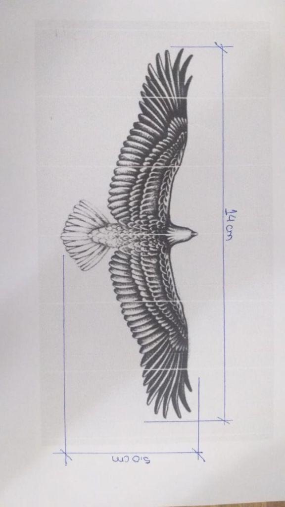 a drawing of a bird flying in the air with its wings spread out and it's reflection on the ground