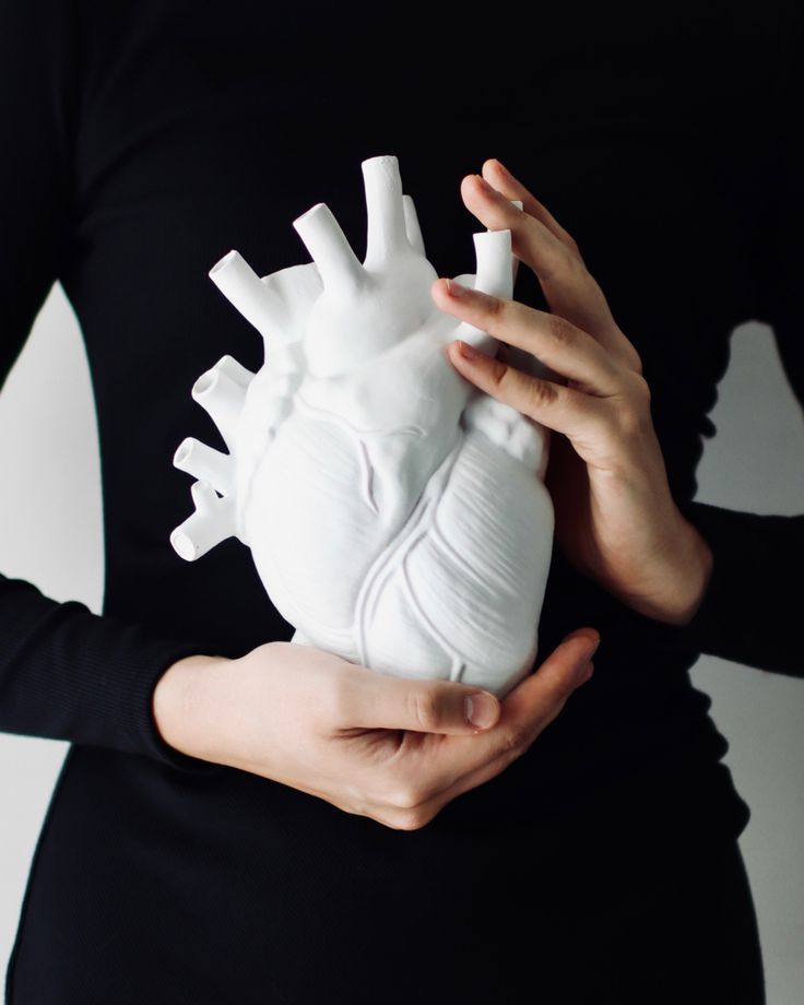 Anatomical heart vase hands Hand Holding Something, Woman In Black Dress, Hand Ref, Hands Holding Heart, Hand References, Skull Reference, Hand Photography, Heart Photography, Hand Drawing Reference