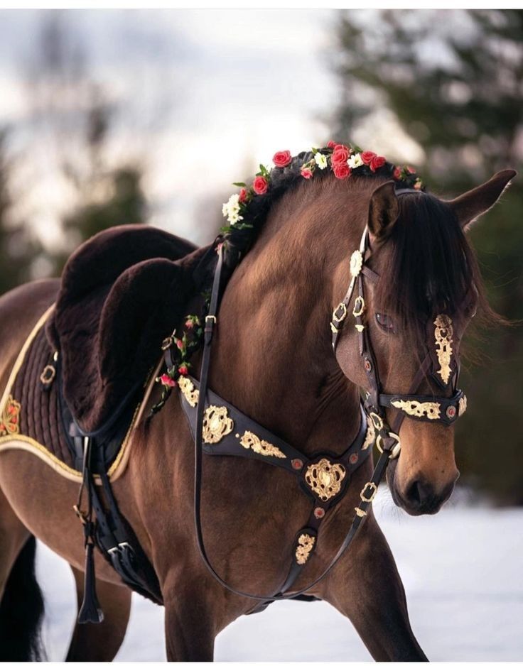 a brown horse wearing a flowered bridle in the snow