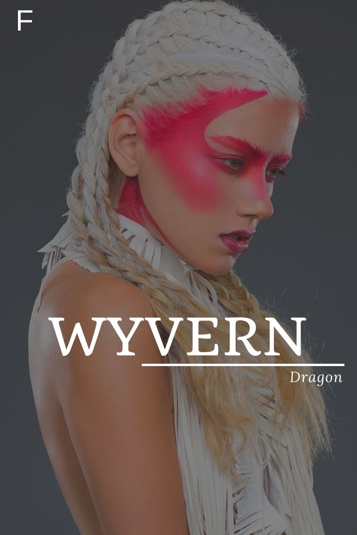 a woman with pink makeup and braids on her head is shown in front of the words, wyvern dragon