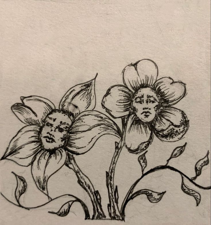 a drawing of two flowers in a vase