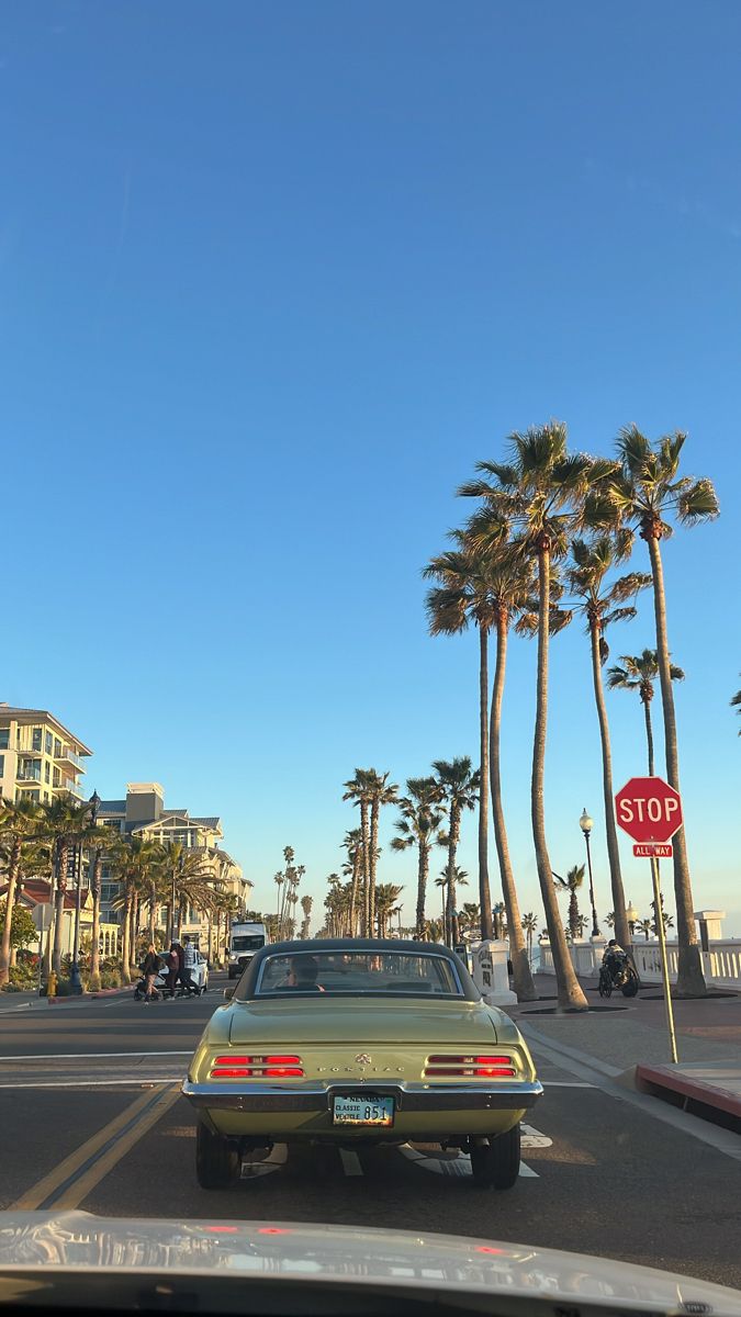 a car is driving down the street in front of palm trees and a stop sign