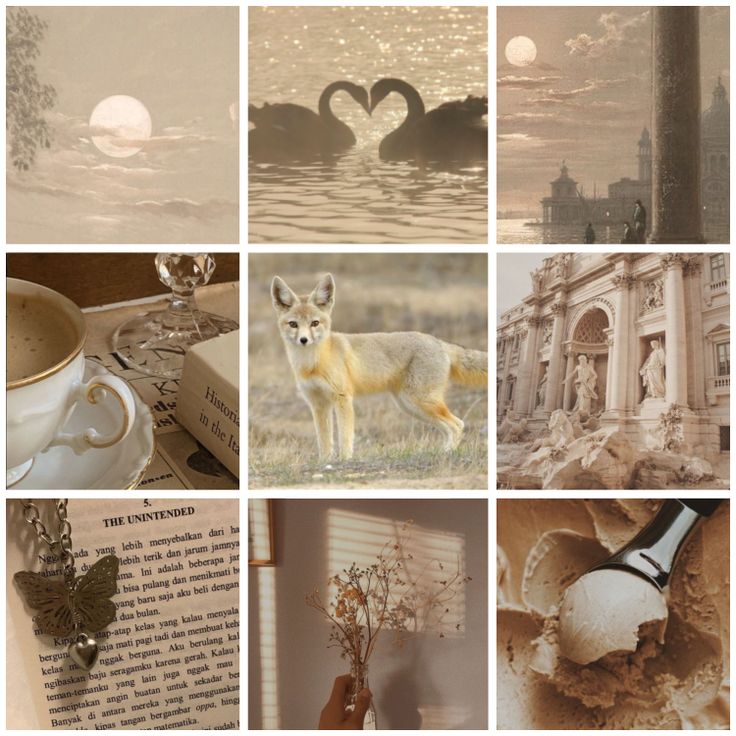 a collage of pictures with animals, flowers and other things to see on the page