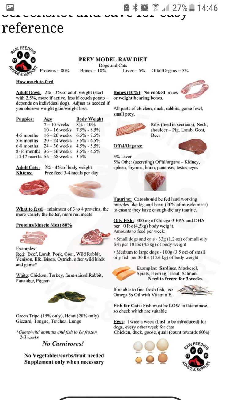 an animal food list with different types of meat