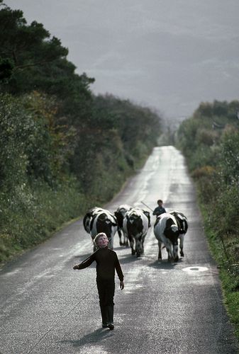 A country road near Castlebar, in County Mayo, Ireland , for travel photography story, (Thomas Ondrey/The Plain Dealer) | by pdbritchie County Mayo Ireland, Photography Story, Ireland Cottage, Mayo Ireland, Images Of Ireland, County Mayo, Travel Ireland, Irish Beauty, Love Ireland