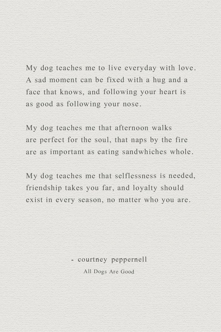 a poem written in white paper with the words, my dog teaches me to live everyday with love