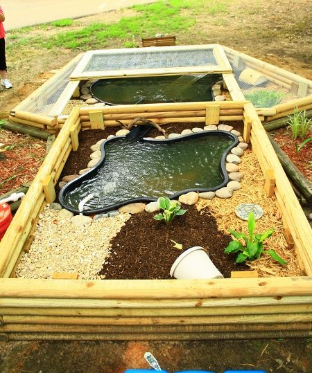 an outdoor pond with plants and water in it