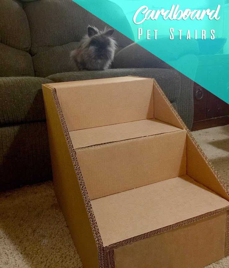 a dog sitting on the floor next to a cardboard box that has been placed in front of a couch