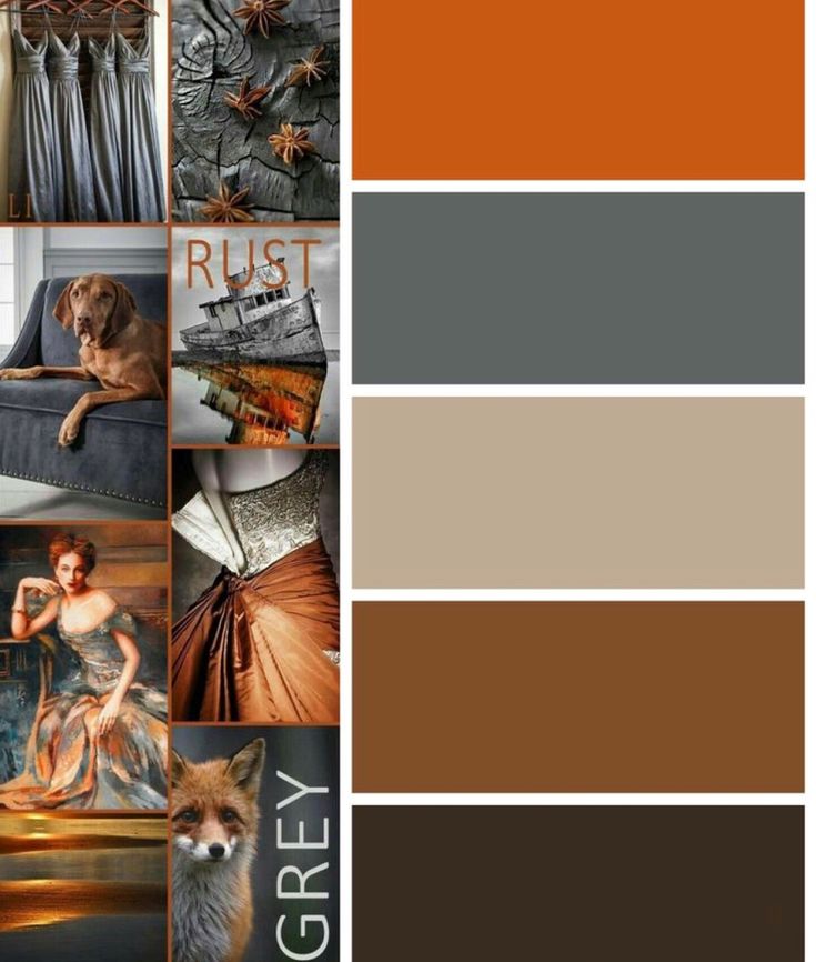 the color scheme is brown, grey and orange