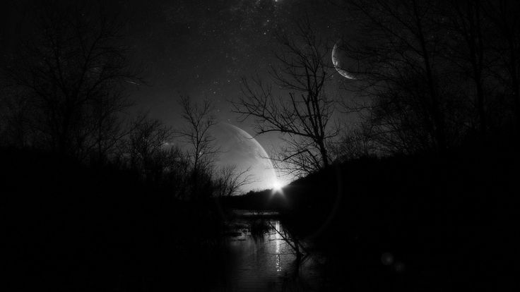 the night sky is lit up with stars and moon in black and white, as well as some trees