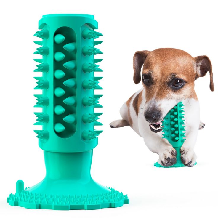 a dog is chewing on a green brush