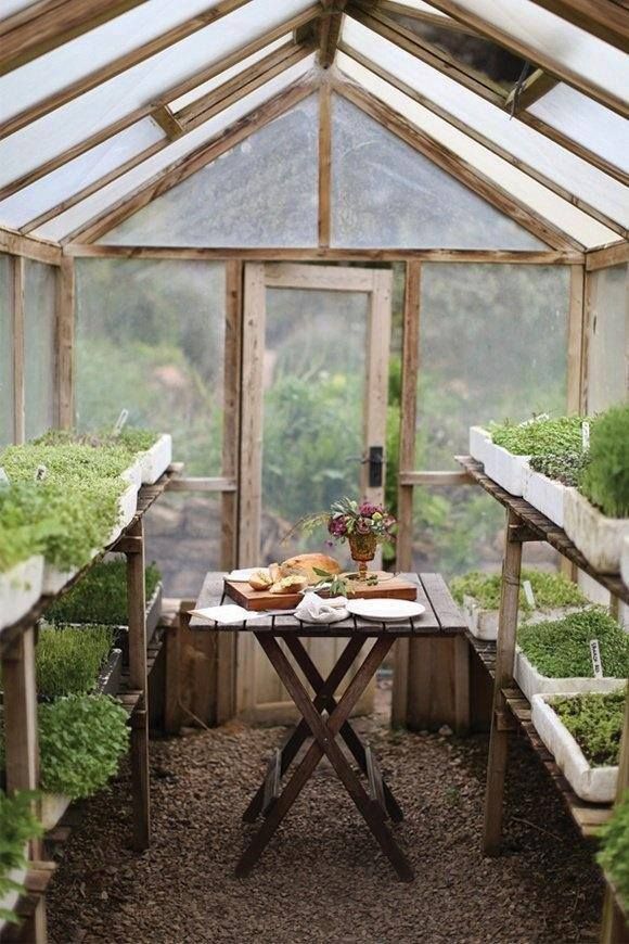 the inside of a greenhouse with several plants growing in pots on tables and benches around them