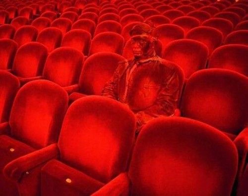 rows of empty chairs in an auditorium with red light coming from the seats on them