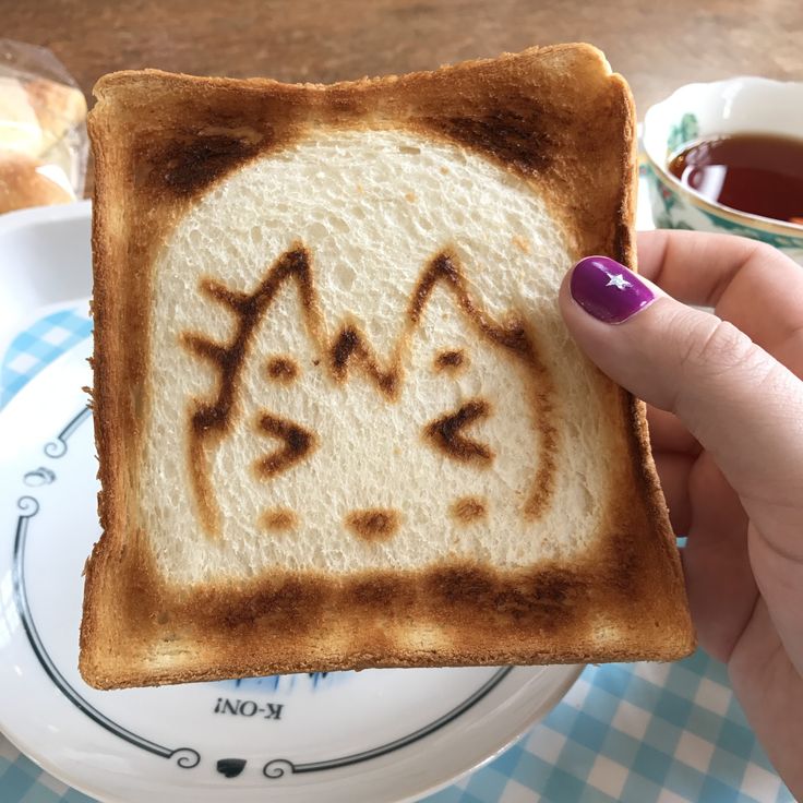 someone holding up a piece of toast with cats drawn on it