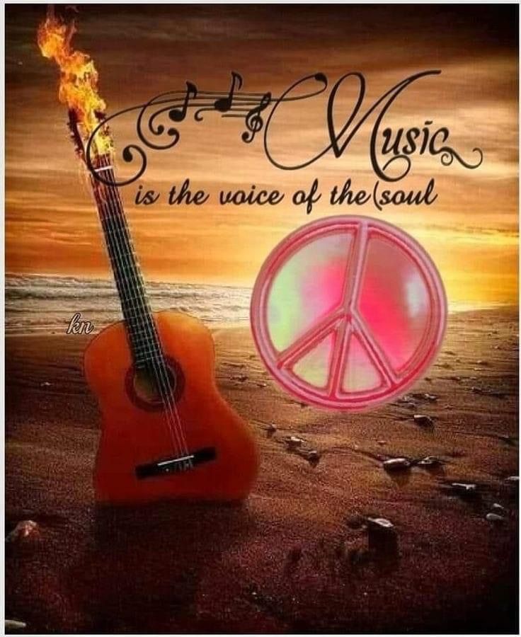 a guitar with a peace sign on it and the words music is the voice of the soul