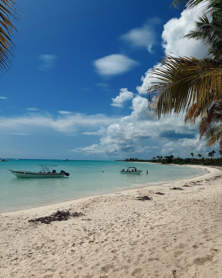 there is a boat that is sitting in the water on the beach near some palm trees