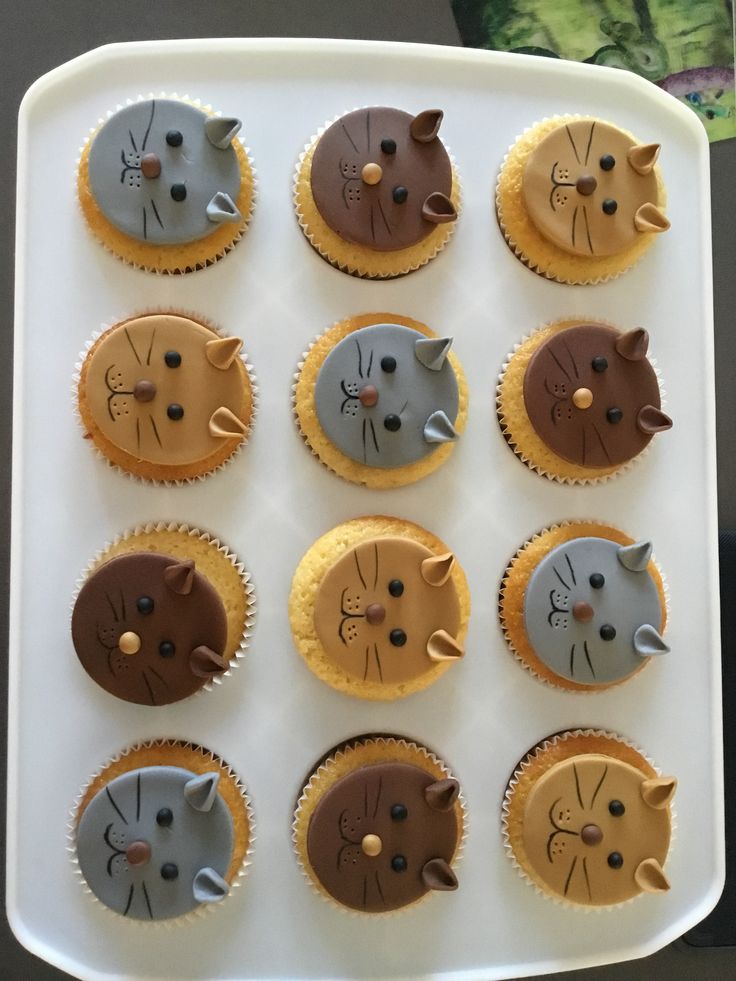 twelve cupcakes decorated to look like cats and kittens on a white tray