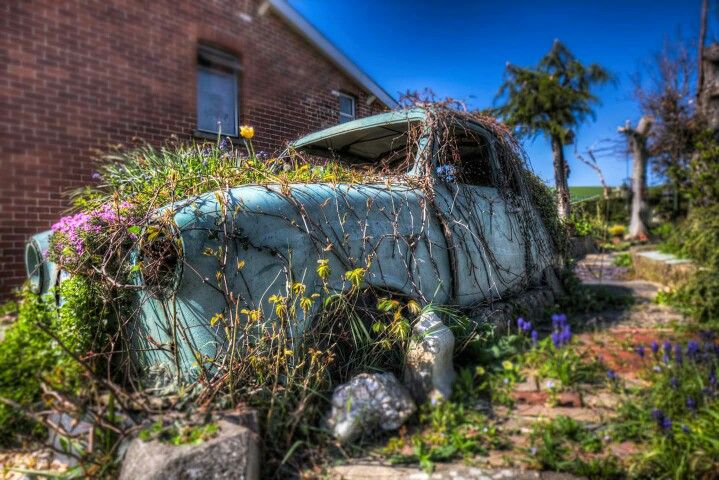 an old car is overgrown with plants and rocks