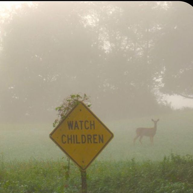 a yellow watch children sign sitting in the middle of a field next to a deer