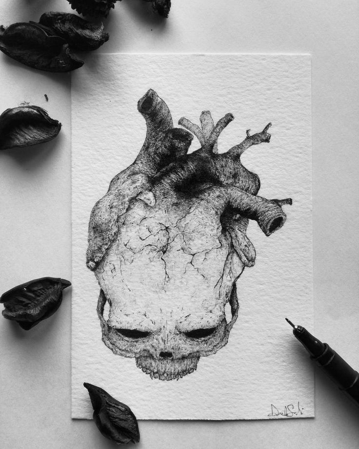 a black and white drawing of a human heart on top of a piece of paper