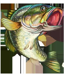 a drawing of a fish with its mouth open