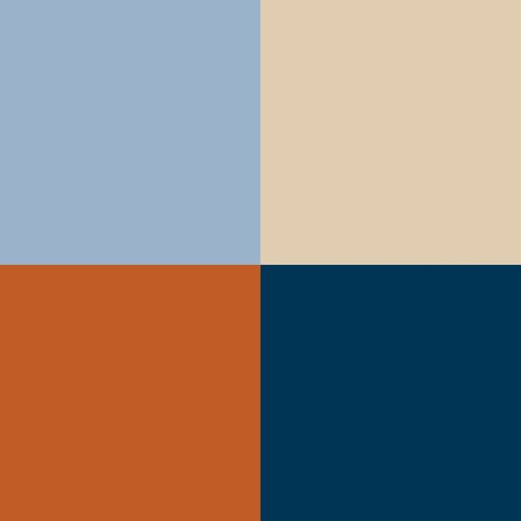 an orange, blue and beige color scheme with two different shades in the same area