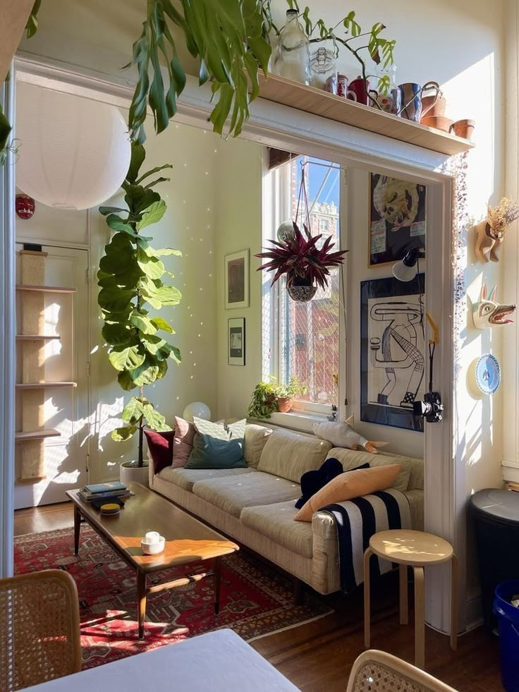 a living room filled with furniture and lots of plants on top of the windowsill