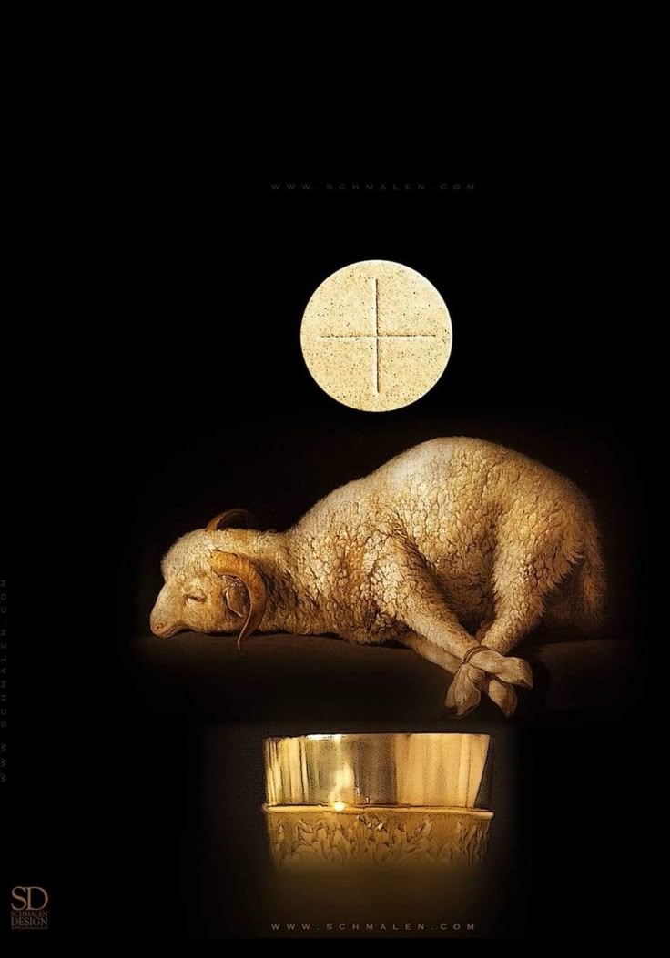 a dog laying on its side next to a golden bowl with a cross in it